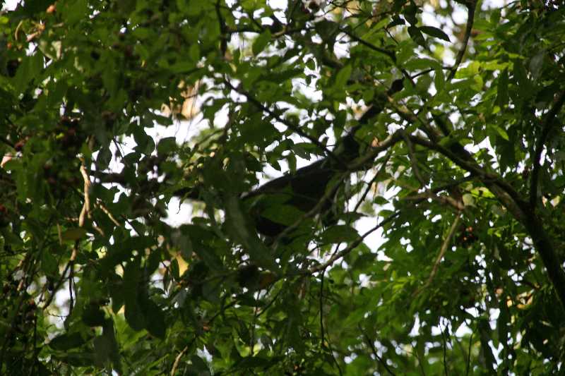 Mexico & Guatemala 2010 - 1068